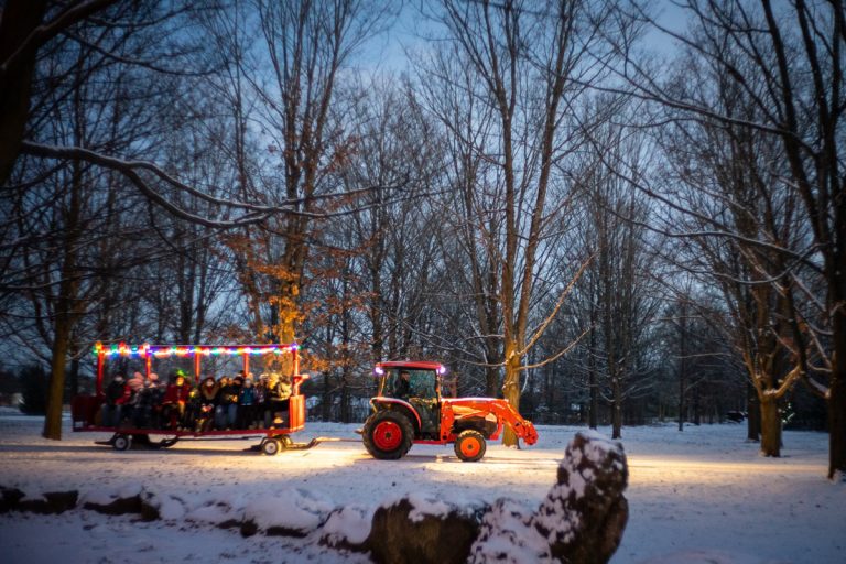 Lindsay Ralph Photography